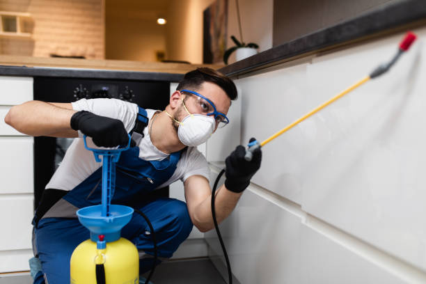 Best Wasp Removal Services  in Anaconda, MT