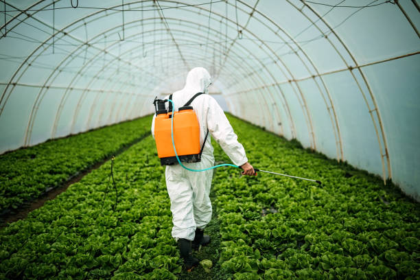 Best Local Pest Control Services  in Anaconda, MT