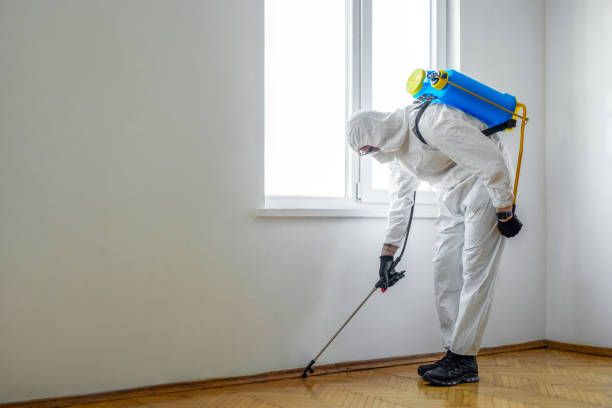 Best Pest Removal Services  in Anaconda, MT