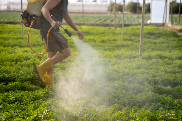 Best Best Pest Control Companies  in Anaconda, MT