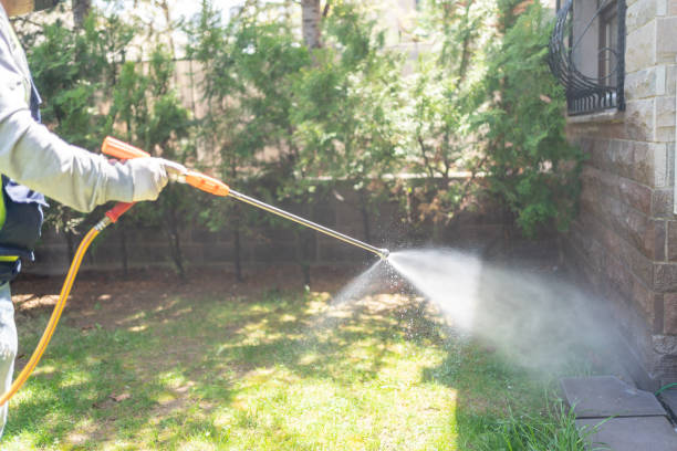Best Best Pest Control Companies  in Anaconda, MT