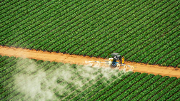 Best Pest Prevention Services  in Anaconda, MT