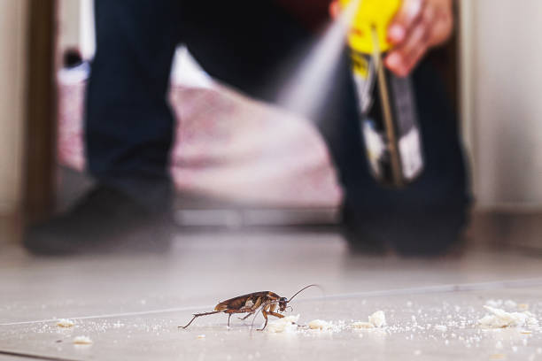 Best Mosquito Control Services  in Anaconda, MT
