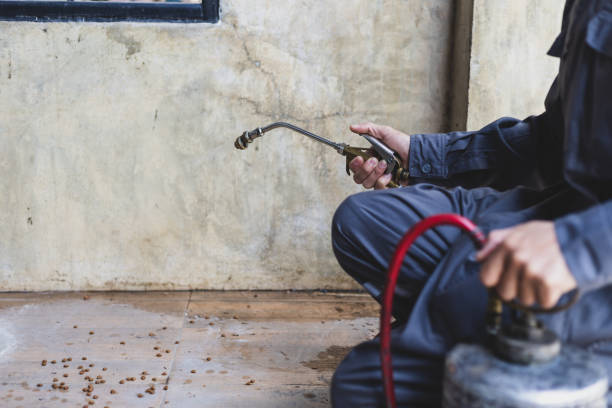 Best Exterminator Services  in Anaconda, MT