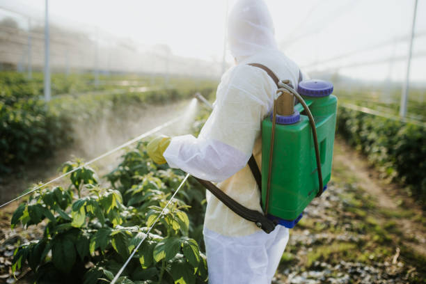 Best Termite Control Services  in Anaconda, MT